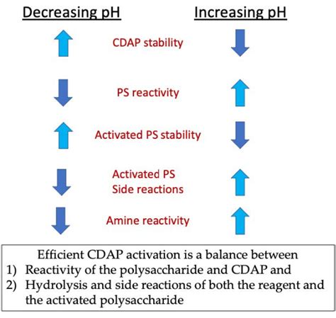 acyop cdap|Activation of Soluble Polysaccharides with 1.